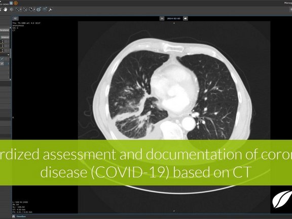 MRT of the lung in mint Lesion