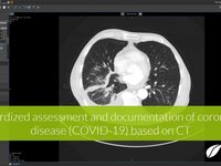 MRT of the lung in mint Lesion
