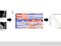 The image serves as a graphical abstract, displaying visuals from the study, ranging from MRI scans to the analysis of delta-radiomics texture features