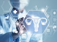 Doctor looking at an image of a uterus