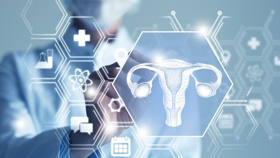 Doctor looking at an image of a uterus