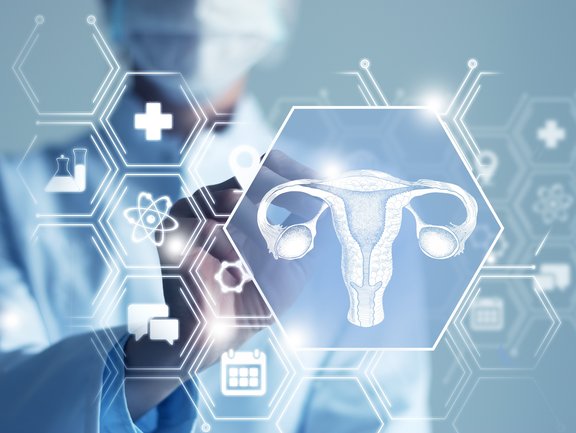Doctor looking at an image of a uterus